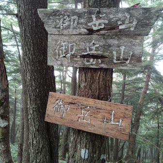 看板は取り替えるんじゃ無くて増やす物なんですかね?😅