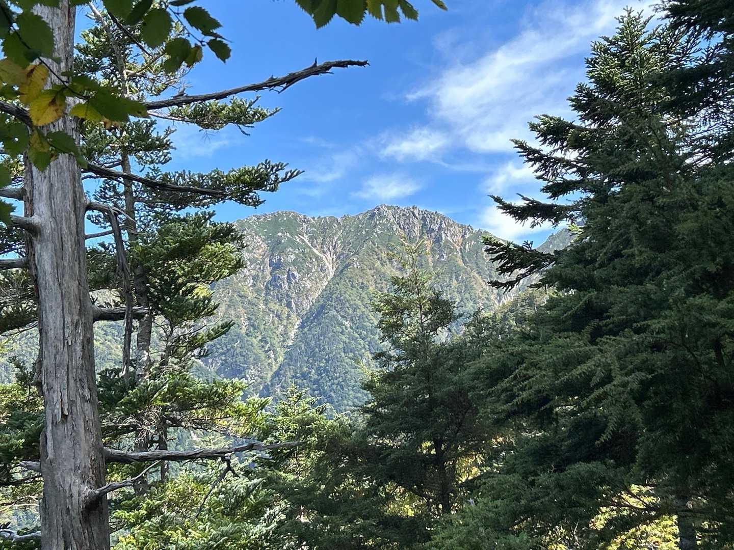 木々の隙間からちょっとだけ山並みが見えます