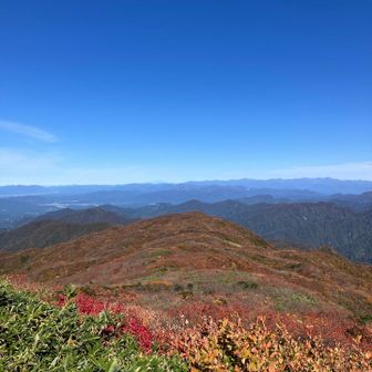 紅葉の尾根の遥かに鳥海山がうっすらと🍁🏔️
中央少し左に⛰️