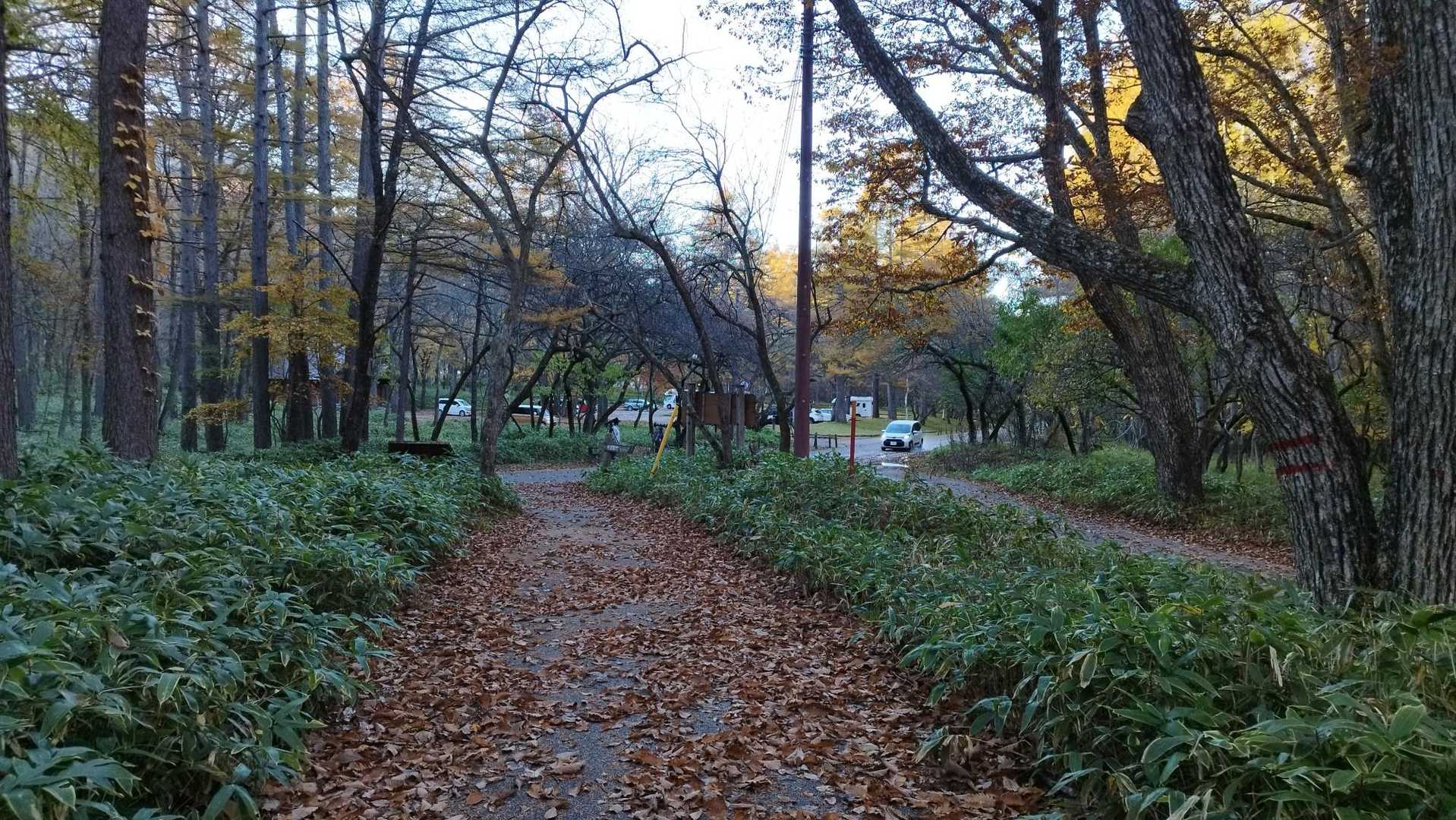 女峰山に登ろうと思っていた...が、突如思い立って太郎山と小太郎山に山変。
光徳牧場には朝5時過ぎに到着するも猛烈に眠たくて1時間ほど仮眠してから出発。
にしても寒いなぁ〜