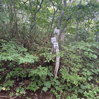 わらじ脱ぎ場
昔の人は、わらじは置いて行ったのかなー？
背負って行ったのかなー