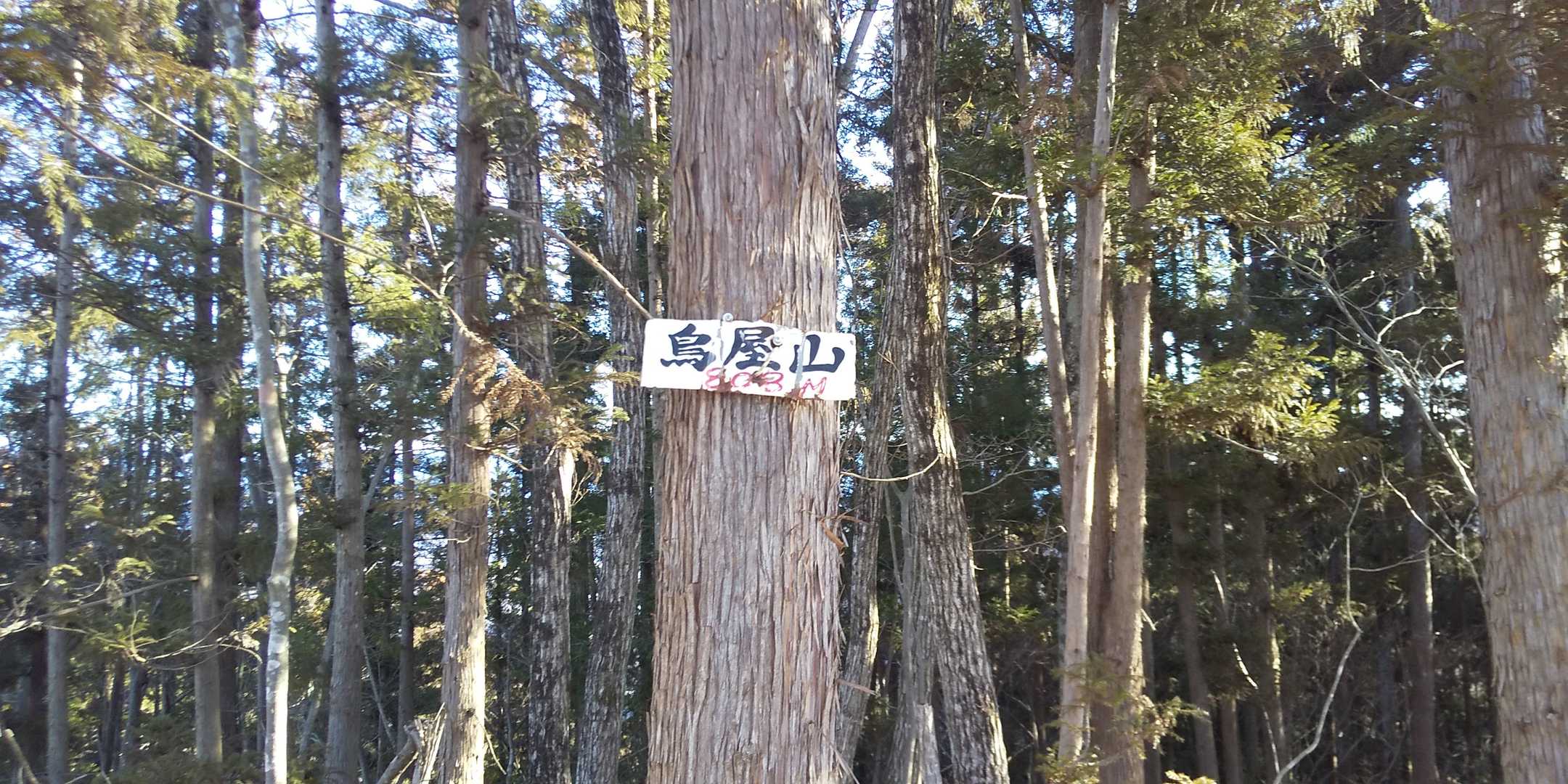 2座目の鳥屋山！
眺望が、無いのが寂しい😣⤵️