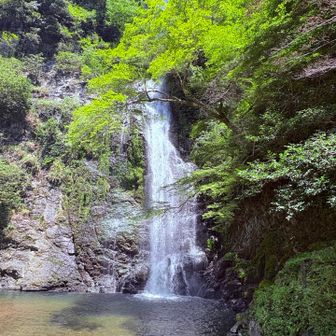 今日は 水しぶきがかかるくらい流れてて
気持ちよかった
