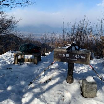 今年は雪が少なめ