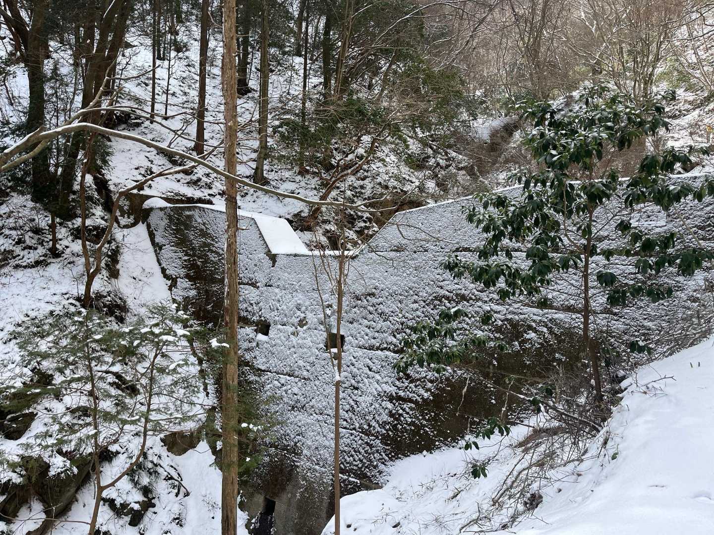 滝もたくさん見れたので、山頂に向かいます🚶‍♀️
いつも顔に見える😂