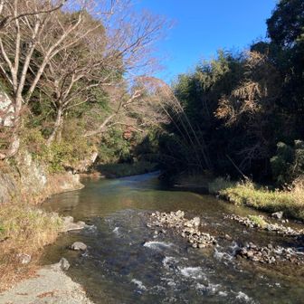 里川です。美しい流れでした。
