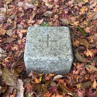 三等三角点　砥上岳　496.4m
落葉🍁に囲まれて綺麗…年々積み重なってまあまあ埋まってきてる