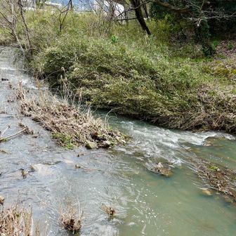 前日の雨で増水
落ちたら元も子もないので
渡渉は諦めました🤣