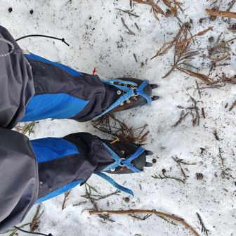 最初からシャキーン