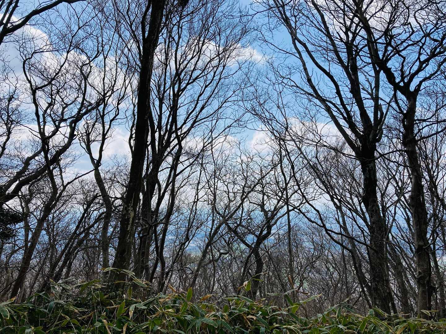 山頂ここでランチ🍙します　目の前の景色を眺めながら😊