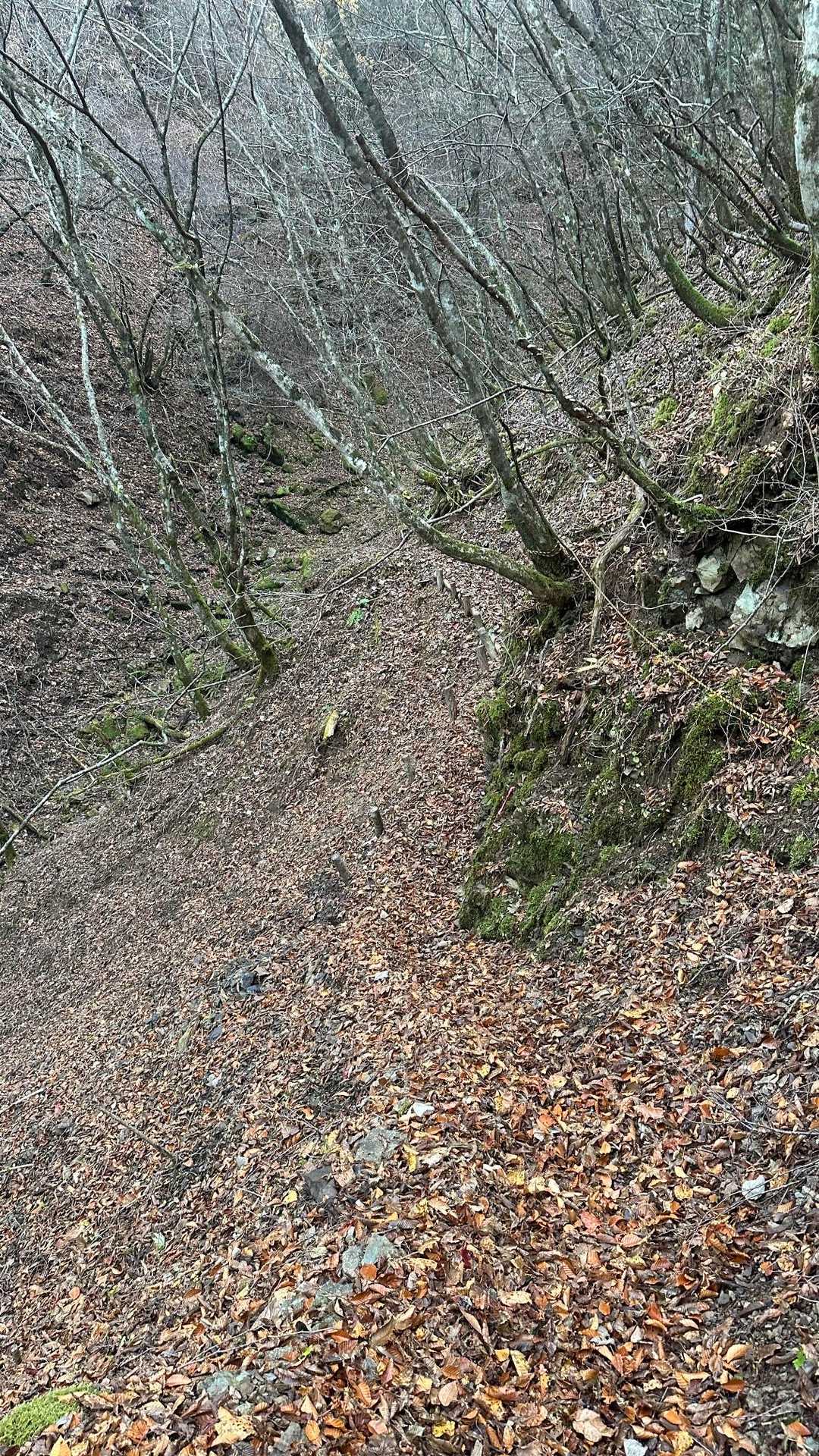 危険⚠️と警告がある道みたいだ
道幅がせまく左側が切れ落ちてる
滑落するとやばそうだ😅