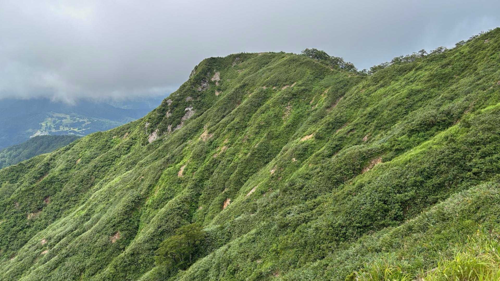 振り返って鎌ヶ峰
