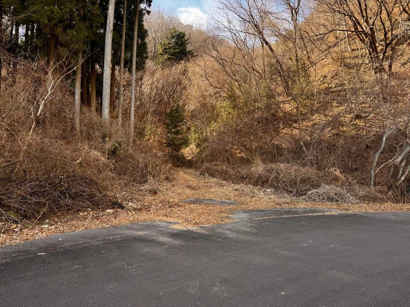 剣ヶ峰-水石山 往復コースの写真