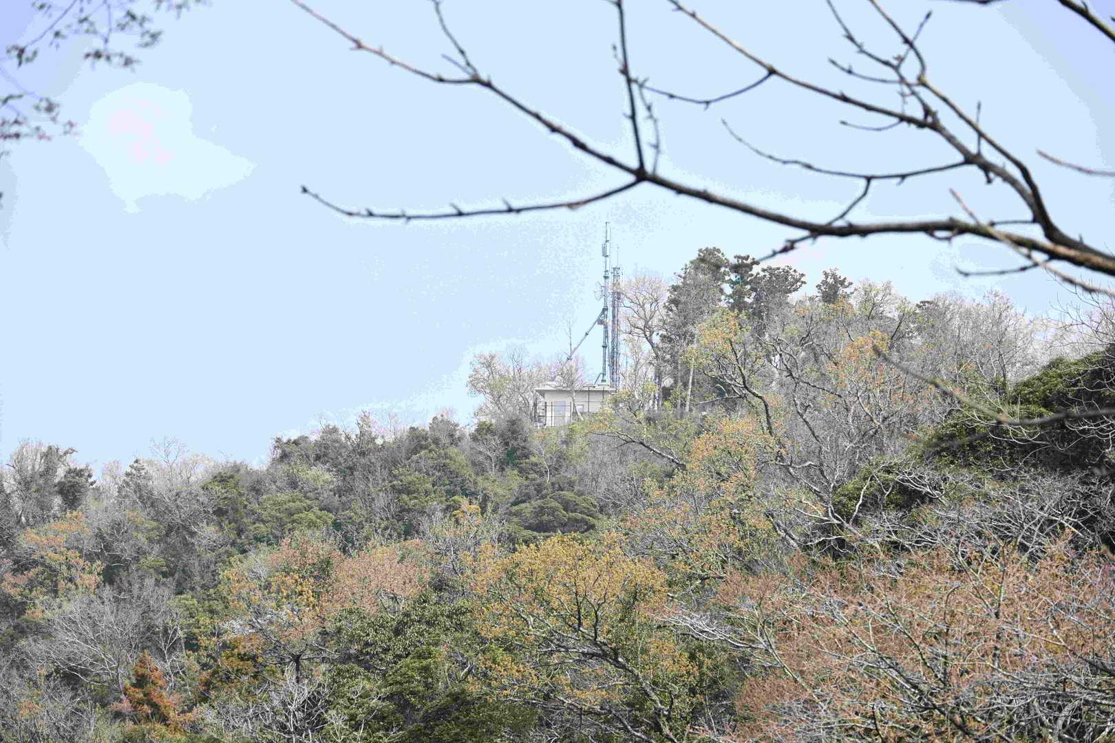 御十八夜が見える