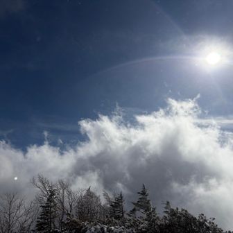 晴れ間が多くなってきた。午後は好天になりそう