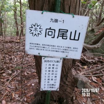 （９嶺ー１）向尾山