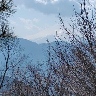 倉岳山から望む富士山。
少し霞んでいます
