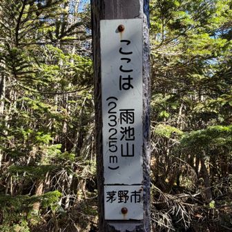 Ⅰ峰からの下山と最後の雨池山までが、地味にシンドい。足痛い😣