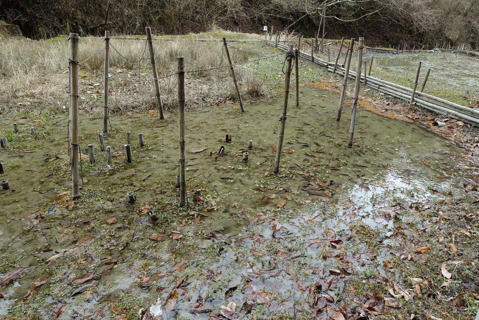 いくつもこんな人工池が作られていました