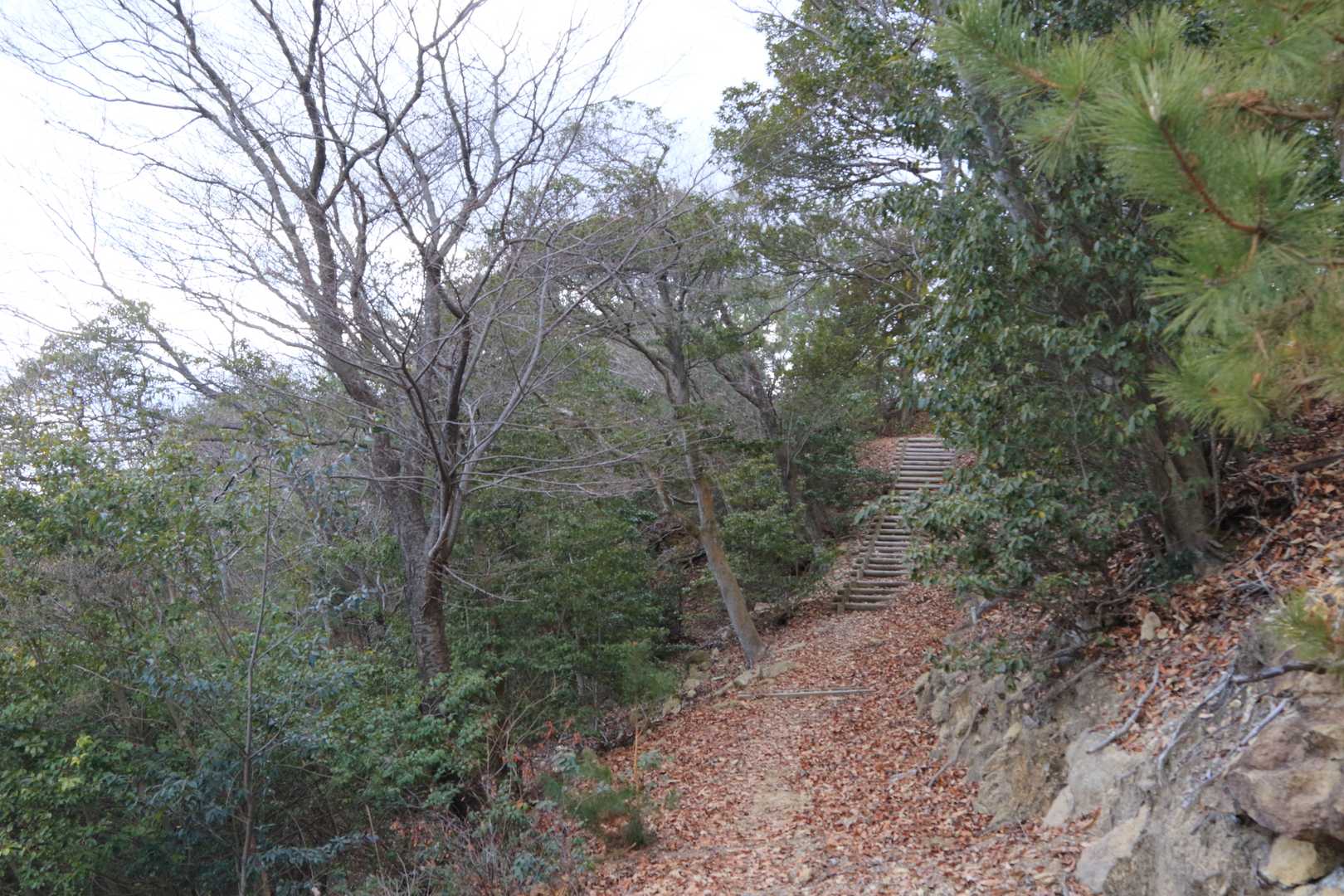 鶴嘴山 周回コースの写真