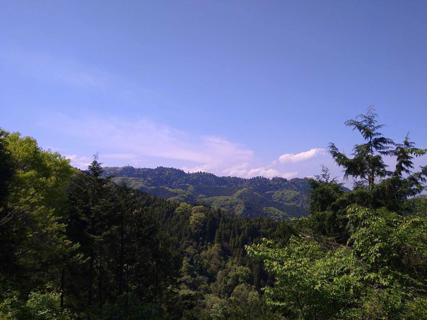 高尾山口駅-草戸峠-草戸山 往復コースの地図・登山ルート・登山口情報