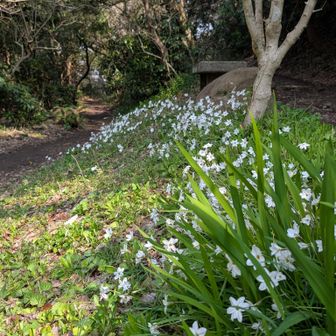 砲台山との分岐点