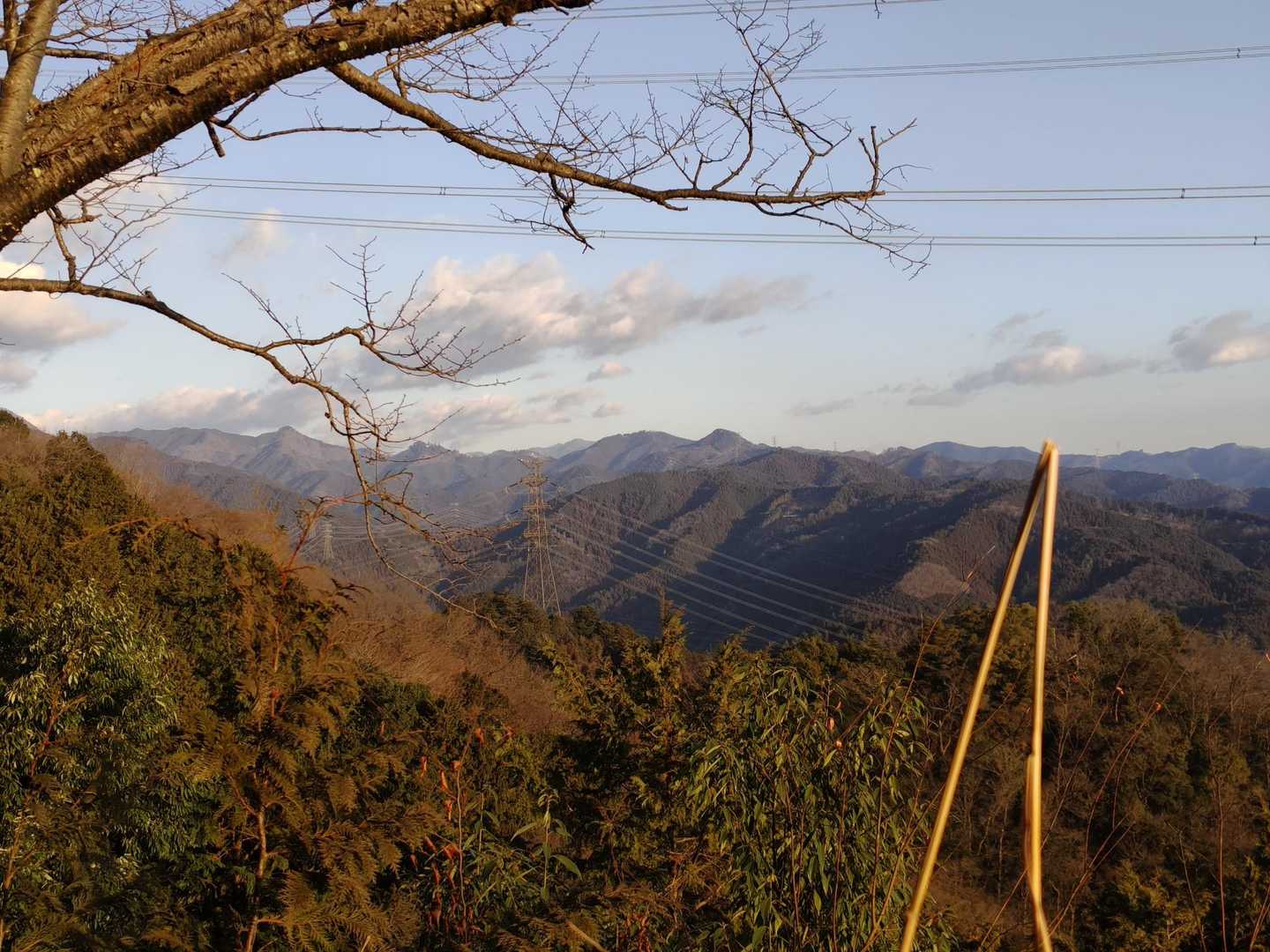 途中、大岳山方面。
2月と思えない気温で既に汗だく💦