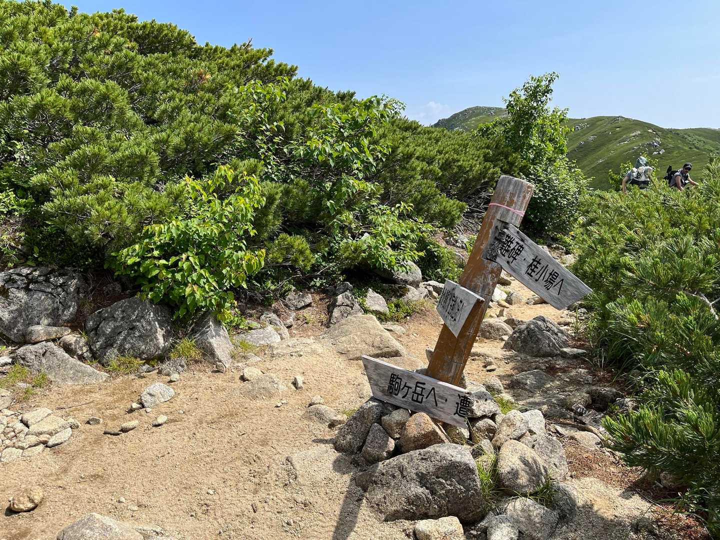 将綦頭山、駒ヶ岳の分岐