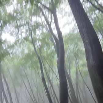 幻想的っちゃ幻想的😅