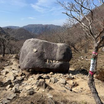 ハンバーガー岩:
どちらかと言うと恐竜の頭？