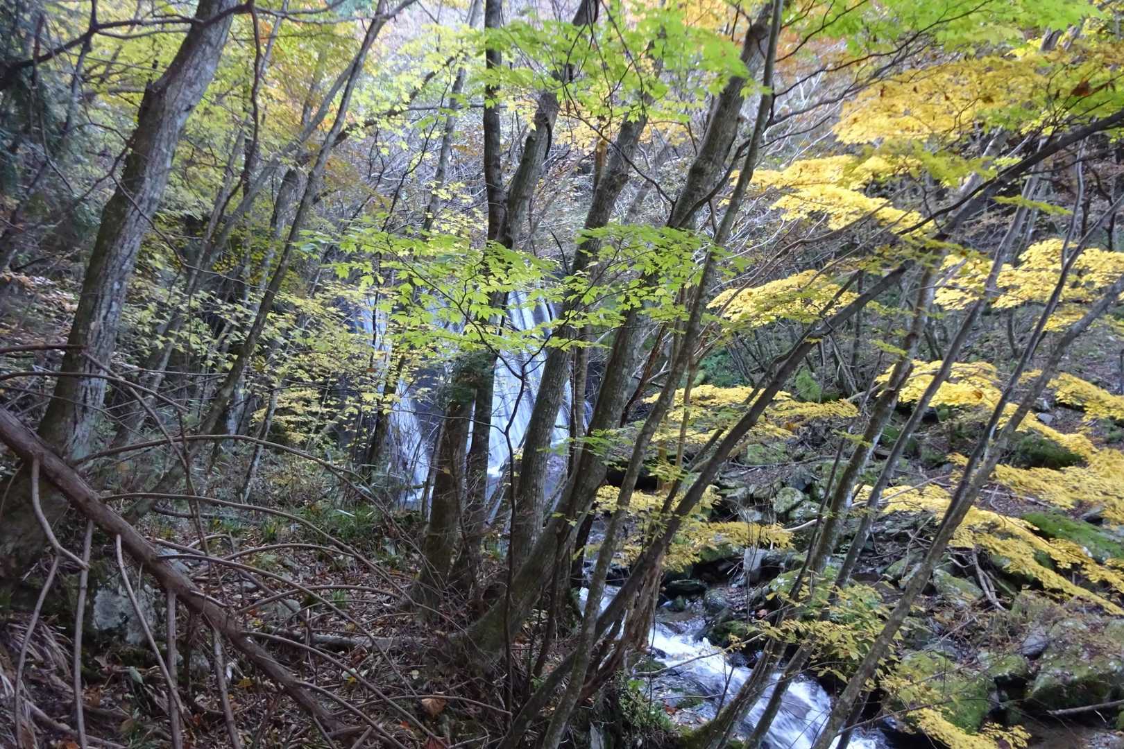 綺麗な滝がいくつか？紅葉🍁も始まっています。
