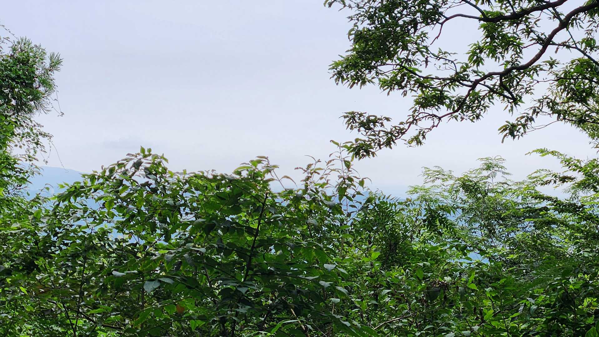仙元山登頂。