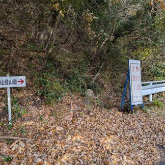 登山口に熊出没注意の看板が…
(((( ；ﾟДﾟ)))ｶﾞｸｶﾞｸﾌﾞﾙﾌﾞﾙ