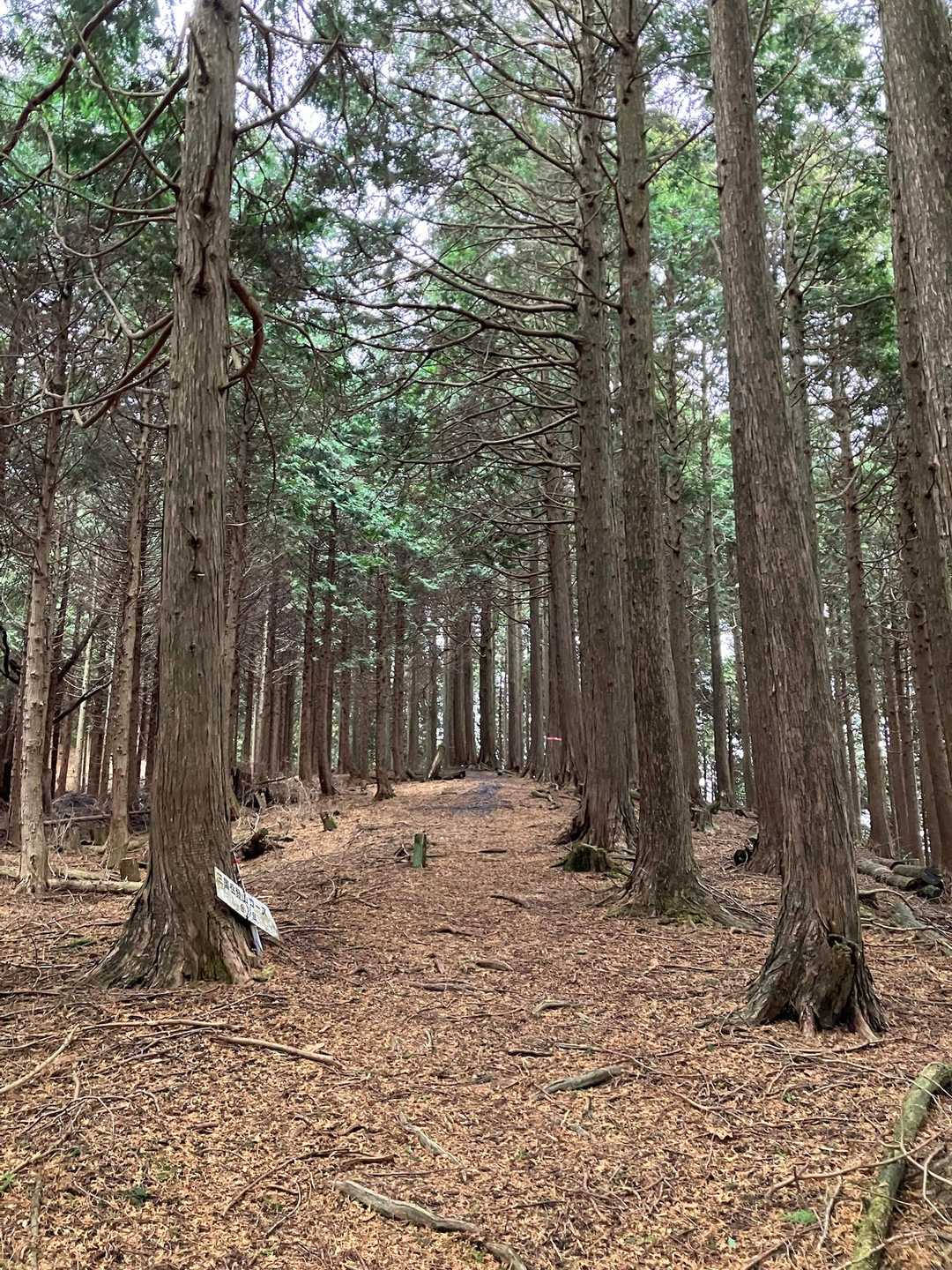 三国峠-三国岳 往復コースの写真