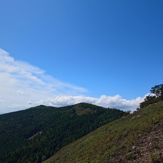 植松山の山頂も見えて、このルートで一番気持ちの良いエリアが始まる。