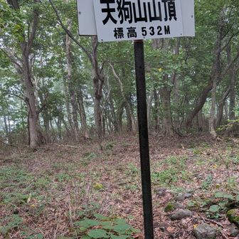 足で登頂㊗️