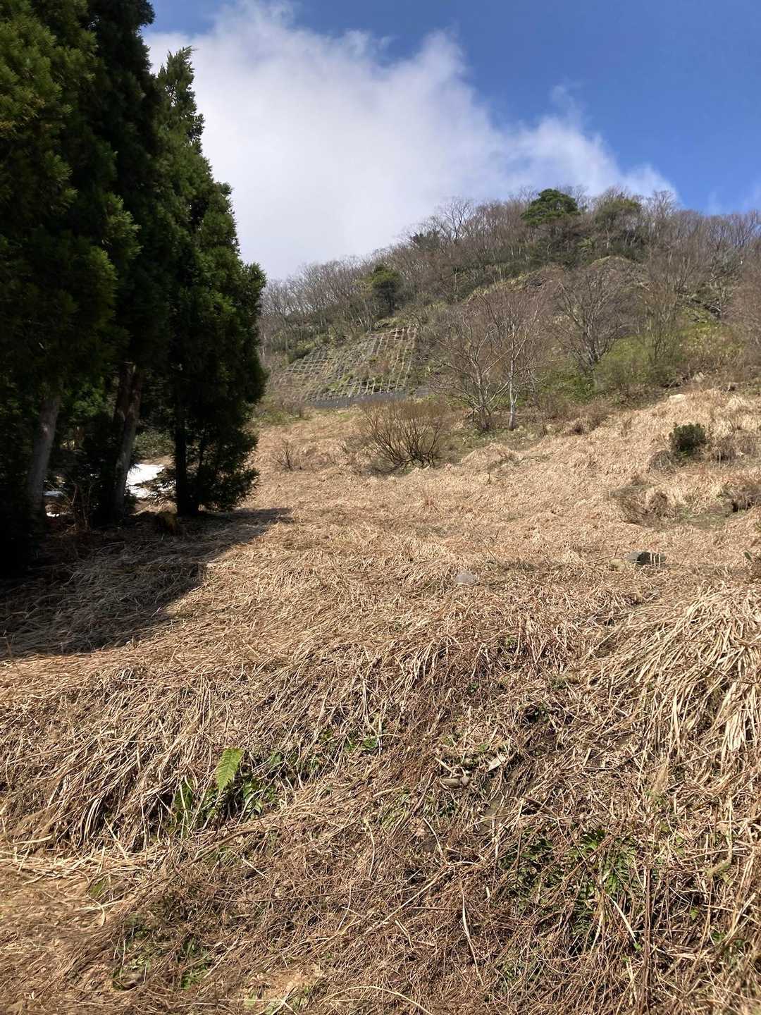何故かここをくだってきた。隣にはコンクリの歩きやすいルートがあったけど…山好きはなんかちょっと思考が違う！！面白い🤣笑