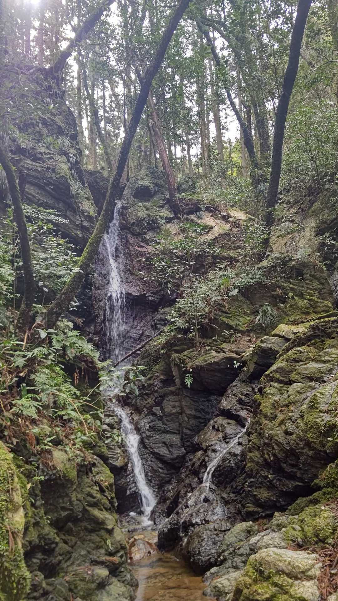 腕扱山-西登山口-風切山 周回コースの写真