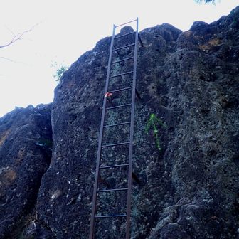 また、🪜ハシゴ🪜
