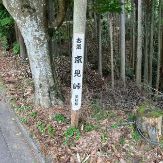 峠を走る
クマ🐻ちょっと気にしながら