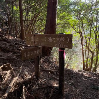 案内板に従い進みます🚶‍♂️‍➡️