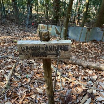 水分れ公園に行きたいのでこちらへ