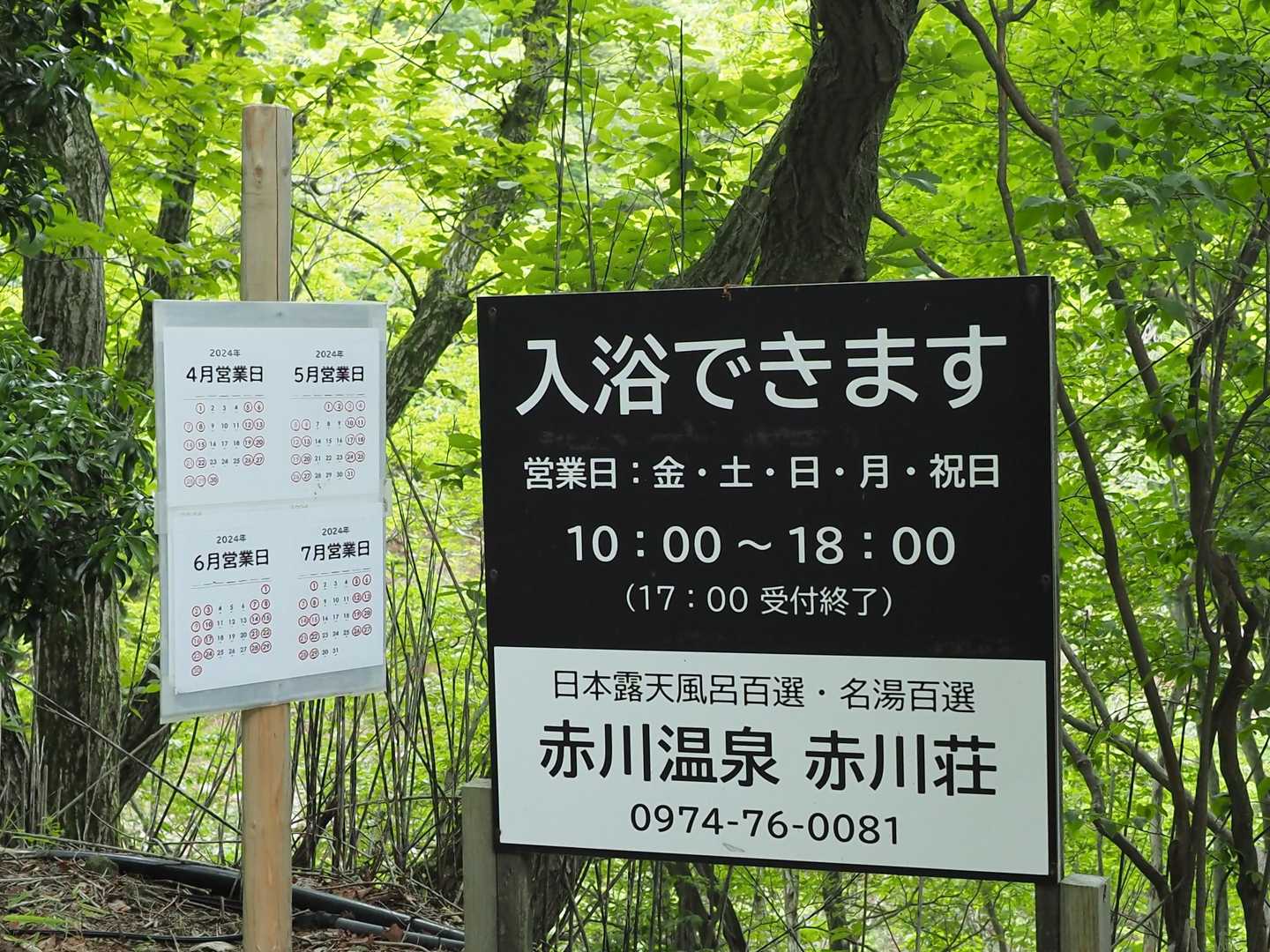 まだ早かった…♨
予定が有るので次回の楽しみに