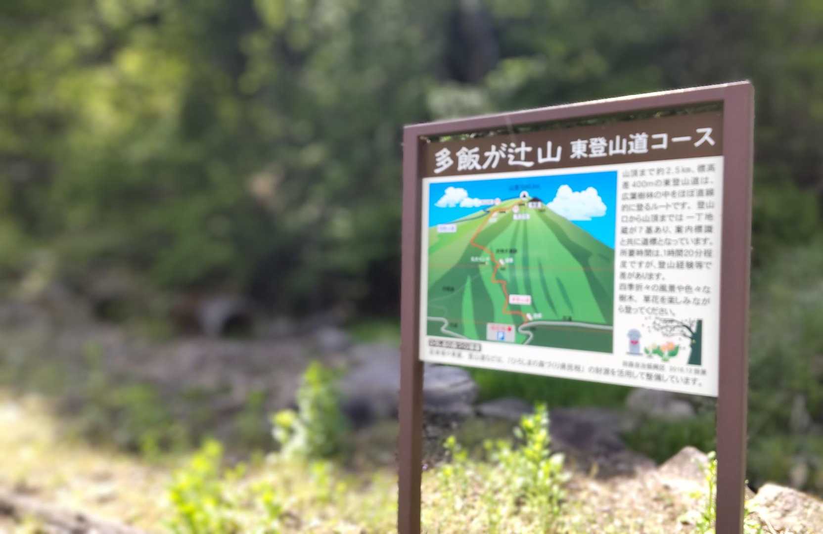 無事に下山しました
お邪魔しました😃
お花がたくさん(多)でいい(飯)お山でした🎶


最後まで見てくださってありがとうございました🙏
