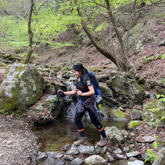 みつばちまーや