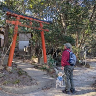 生松台中央公園からスタート💪まずはお参りしてから🙏