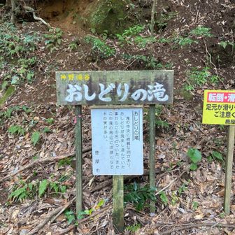 林道へ　ここから滝巡り