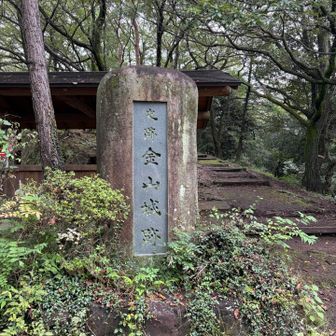 石橋叩いて渡るタイプなので（…たぶん笑）

ライトに楽しもうと思います♪