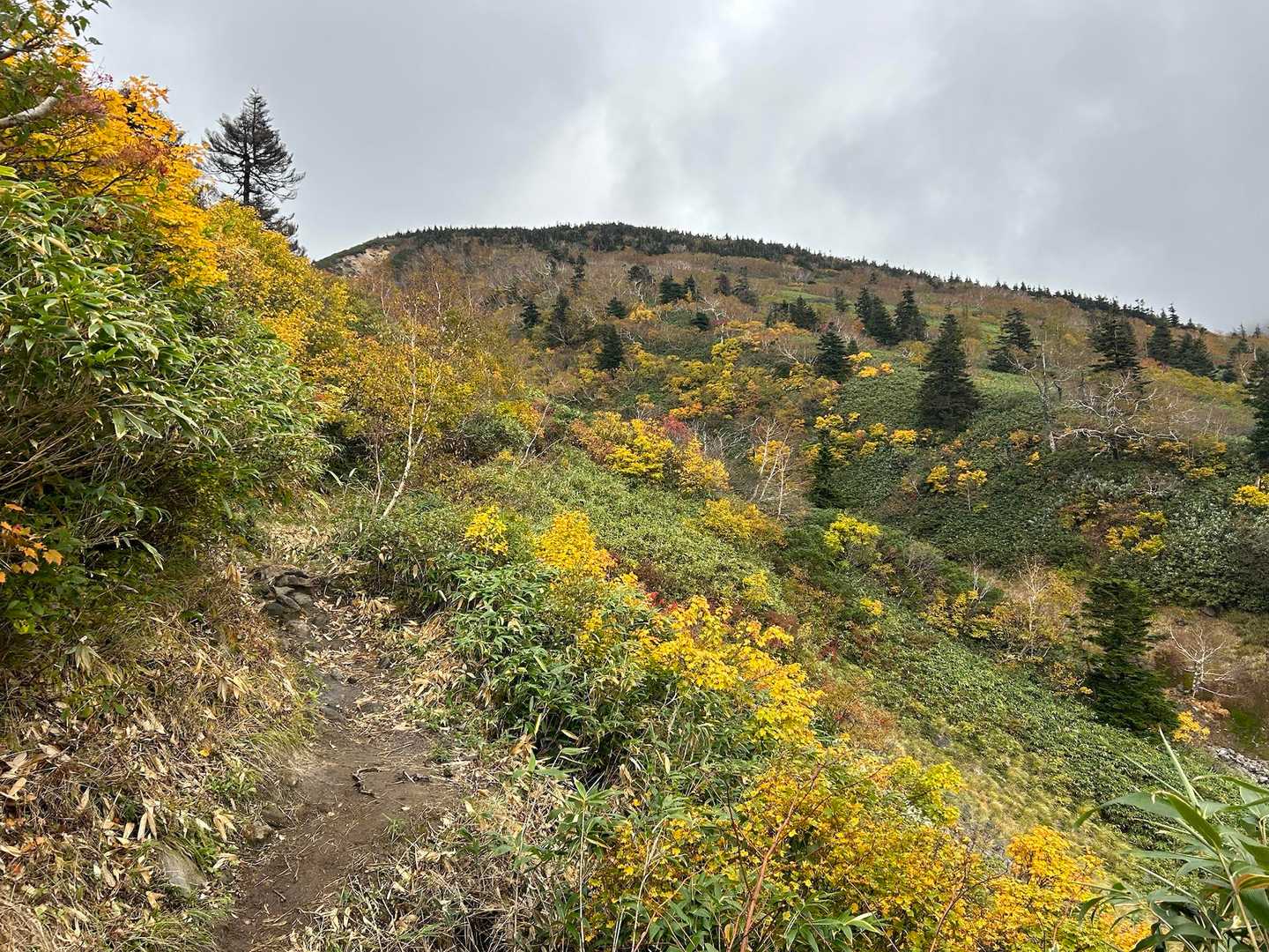 八甲田大岳登山口（酸ヶ湯）-八甲田山 往復コースの写真