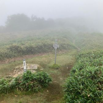 桑瀬峠
完璧にガス